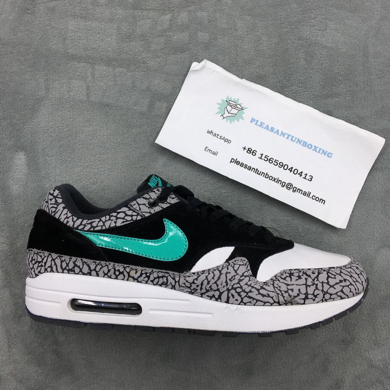 Authentic Air Jordan 3 x air max 1 “Atmos”